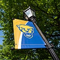 pitt panther banner on lamppost
