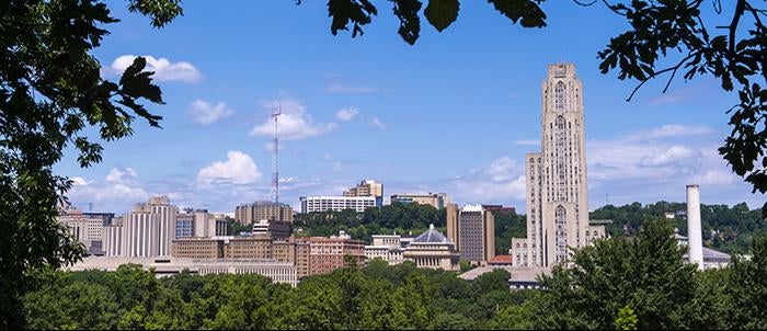 View of Pitt Campus from Flagstaff Hill in Oakland