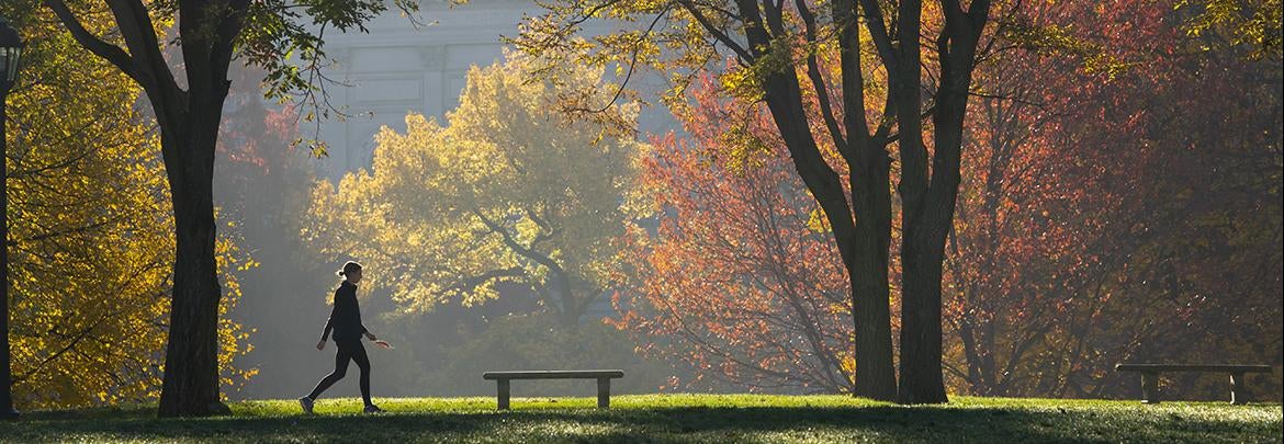 Fall morning on Pitt campus with lots of colorful foliage