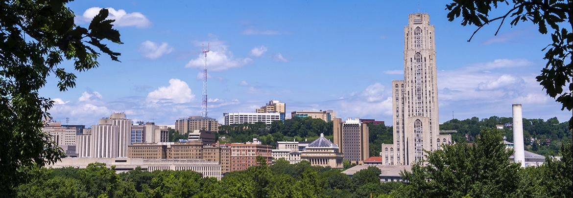 View of Pitt campus from Flagstaff Hill in Oakland