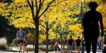 silhouette of student walking amid colorful fall trees on campus