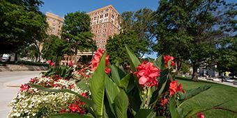 summer flowers in front of william pitt union