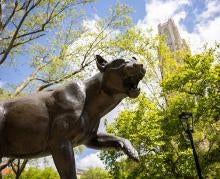 Panther Statue with Cathedral of Learning in background