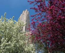 Cathedral of Learning